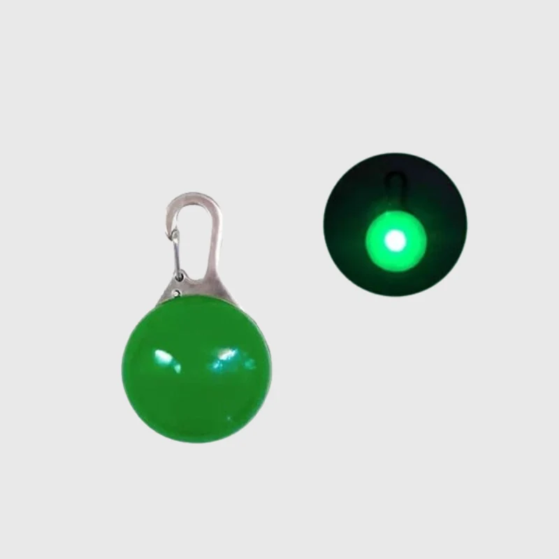 Lampe LED Collier Sécurité Nocturne Chien