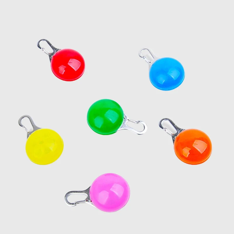Lampe LED Collier Sécurité Nocturne Chien
