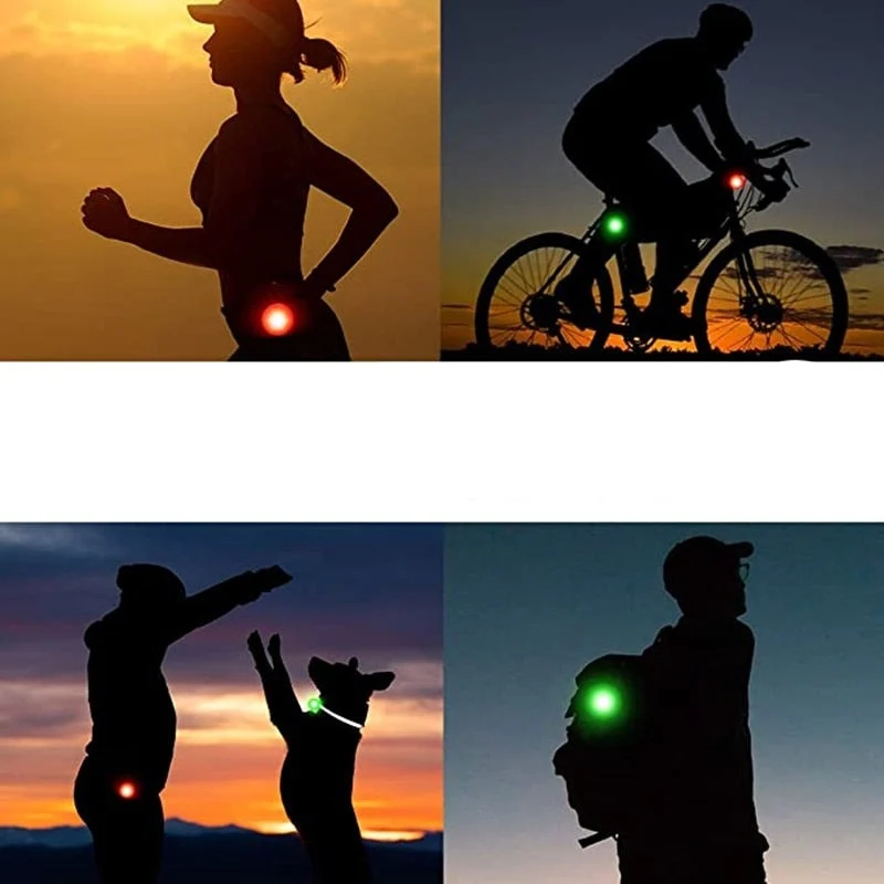 Lampe LED Collier Sécurité Nocturne Chien