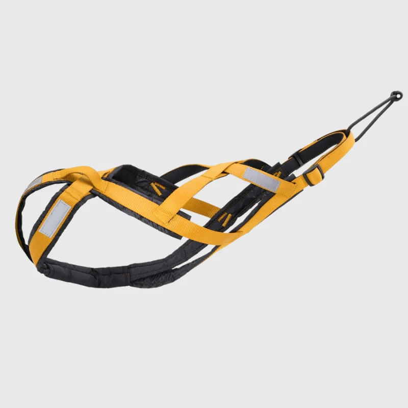 Harnais Canicross Réglable Sport Gros Chien