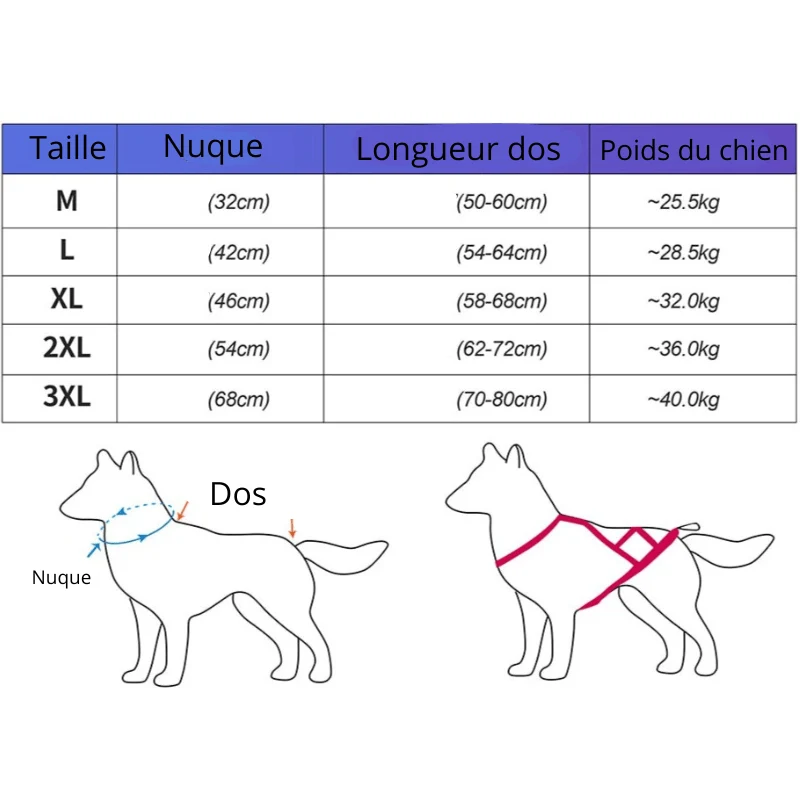 Harnais Canicross Réglable Sport Gros Chien