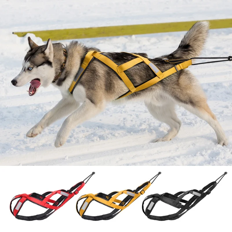 Harnais Canicross Réglable Sport Gros Chien