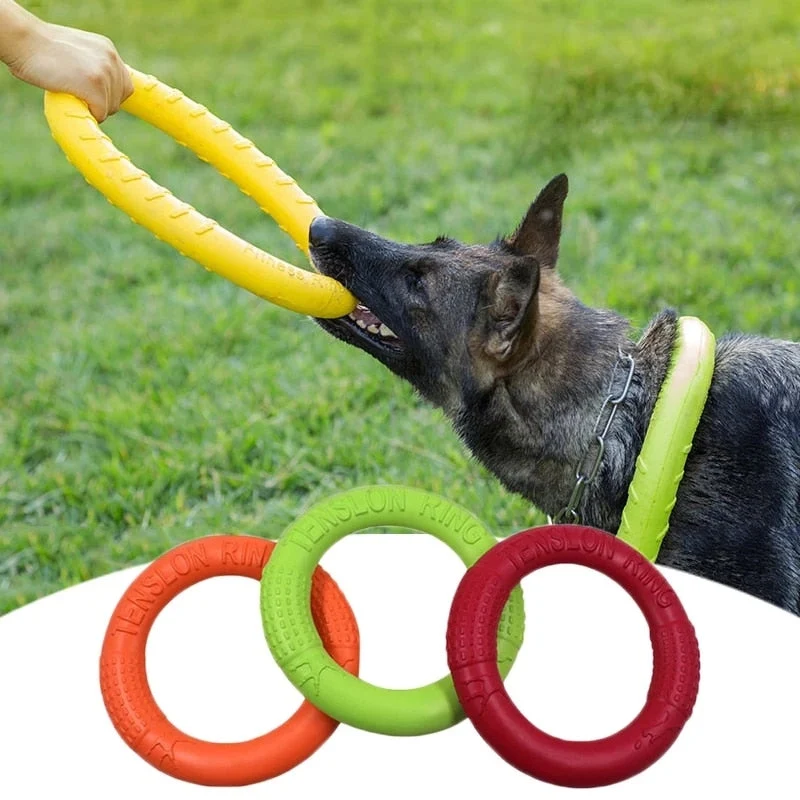 Frisbee Ultra-Résistant Caoutchouc Gros Chien