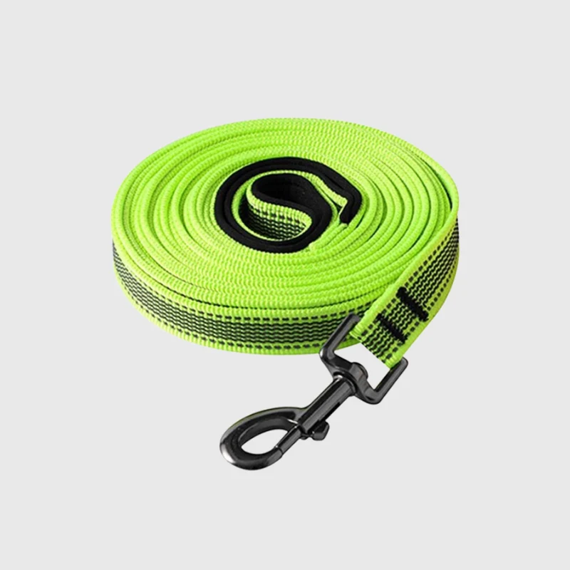Longe Dressage Nylon Renforcée Gros Chien