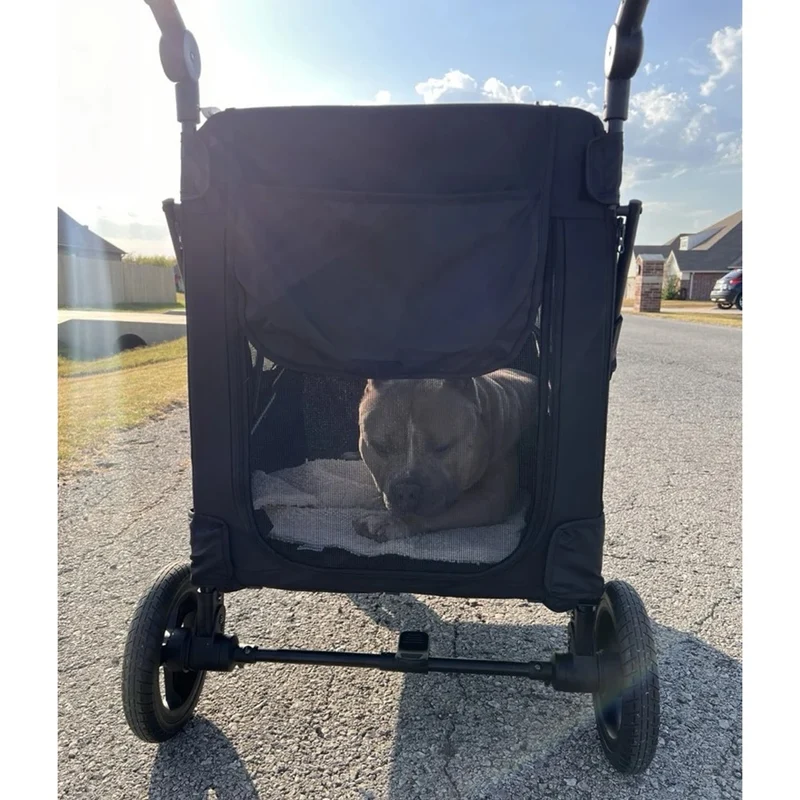 Poussette pour chien grande taille