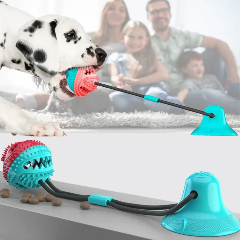 Jouet Mâcher Distributeur Ventouse Gros Chien