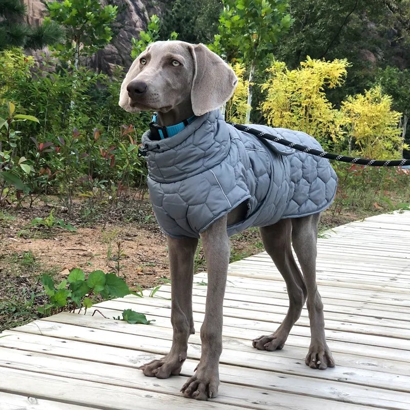Veste Hiver Polaire Réfléchissante Gros Chien