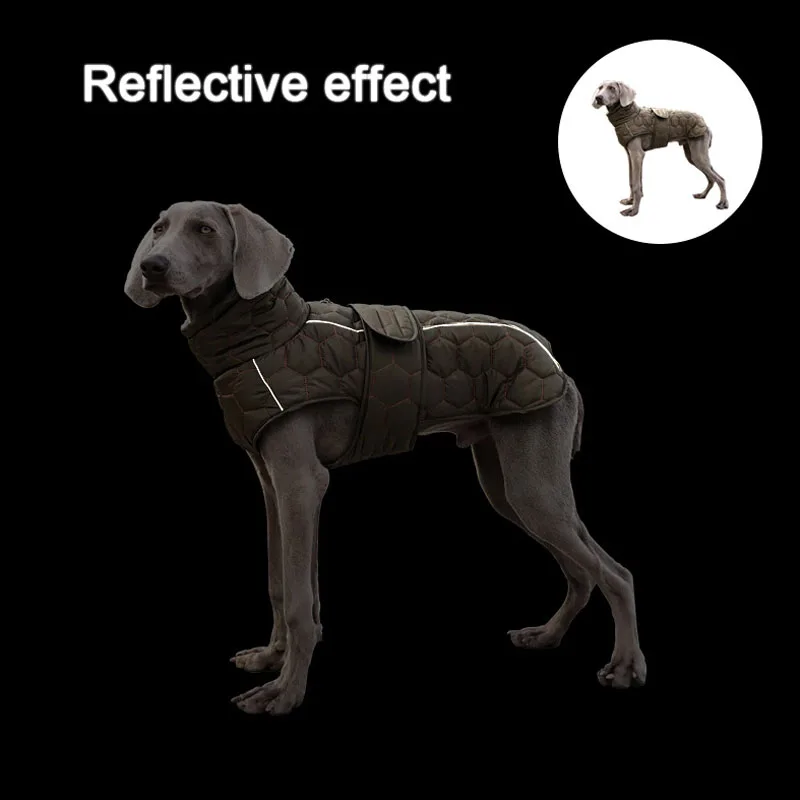Veste Hiver Polaire Réfléchissante Gros Chien