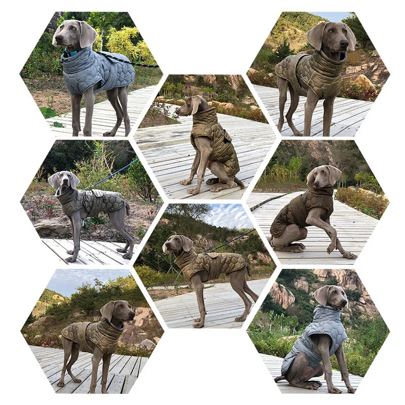 Veste Hiver Polaire Réfléchissante Gros Chien