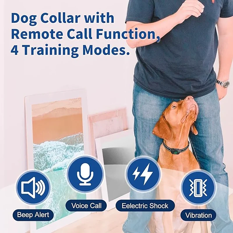 Collier Dressage Électrique Étanche Gros Chien