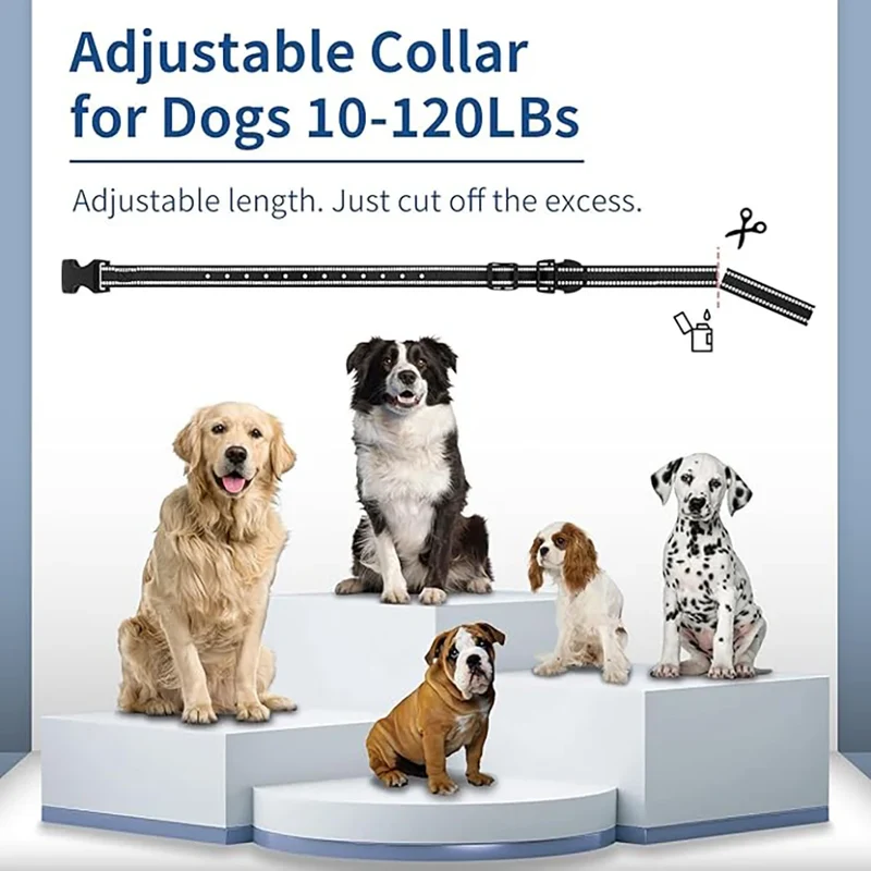 Collier Dressage Électrique Étanche Gros Chien