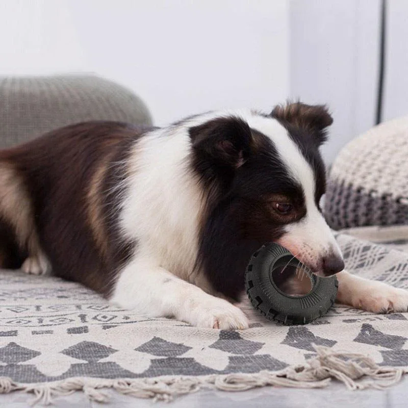 Jouet Pneu Ultra-Résistant Molaire Gros Chien