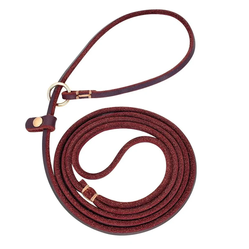 Laisse Lasso Cuir Réglable 2-en-1 Dressage