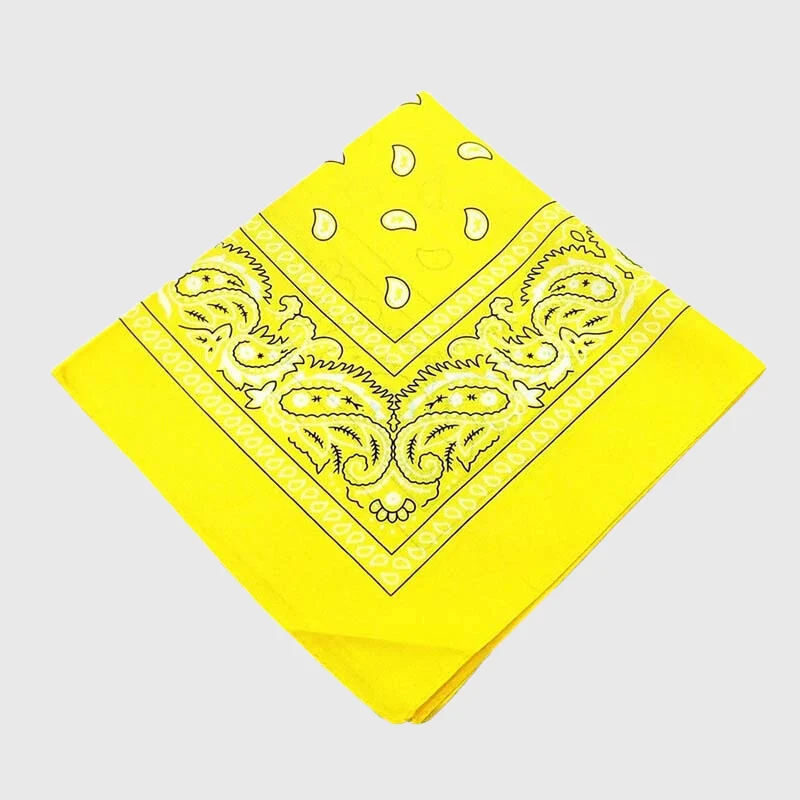 Bandana Personnalisé Gros Chien 50 cm