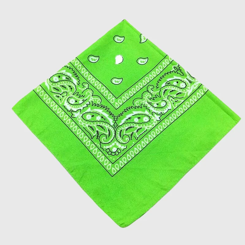 Bandana Personnalisé Gros Chien 50 cm