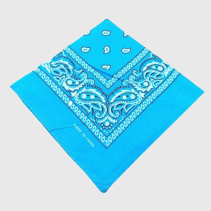 Bandana Personnalisé Gros Chien 50 cm
