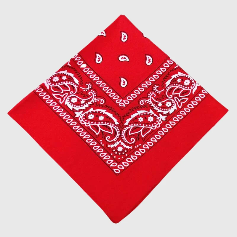 Bandana Personnalisé Gros Chien 50 cm