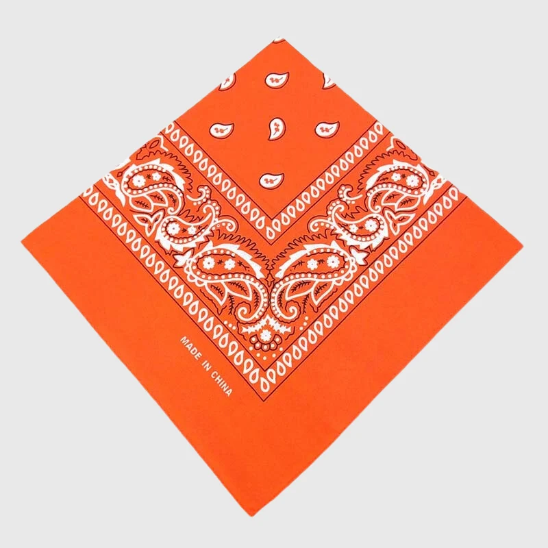 Bandana Personnalisé Gros Chien 50 cm