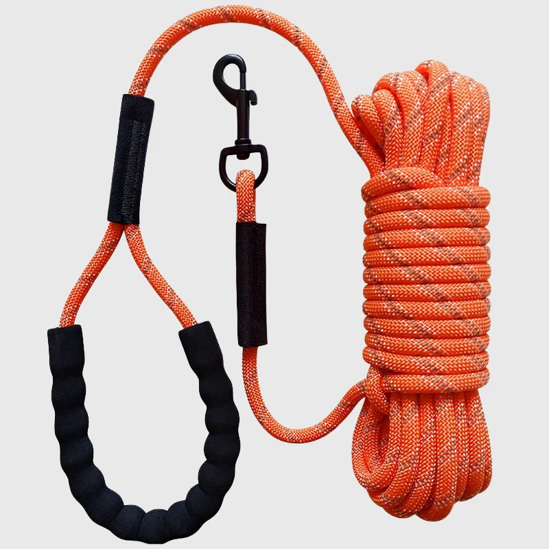 Longe Nylon Tressée Gros Chien Rappel