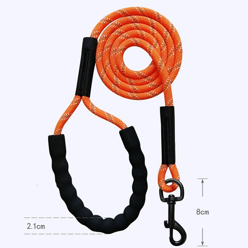 Longe Nylon Tressée Gros Chien Rappel