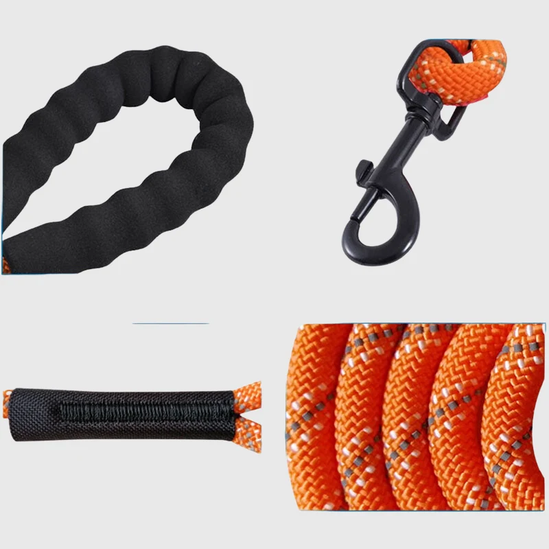 Longe Nylon Tressée Gros Chien Rappel