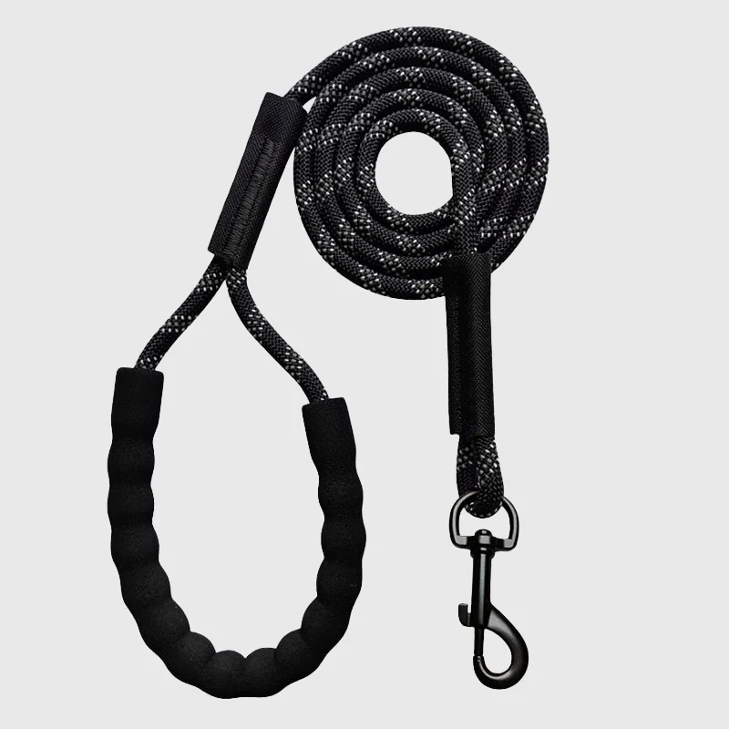 Longe Nylon Tressée Gros Chien Rappel