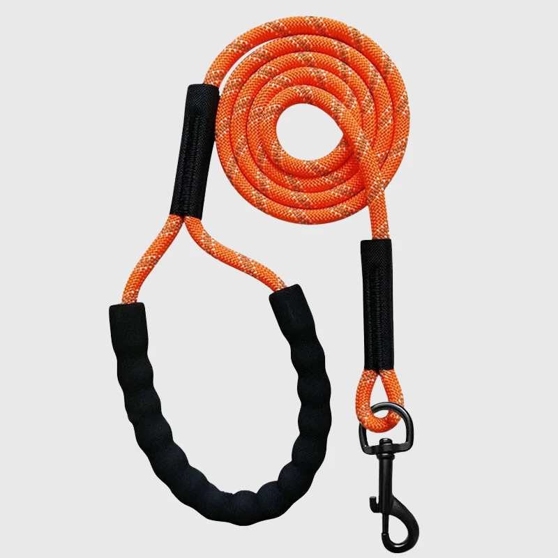 Longe Nylon Tressée Gros Chien Rappel