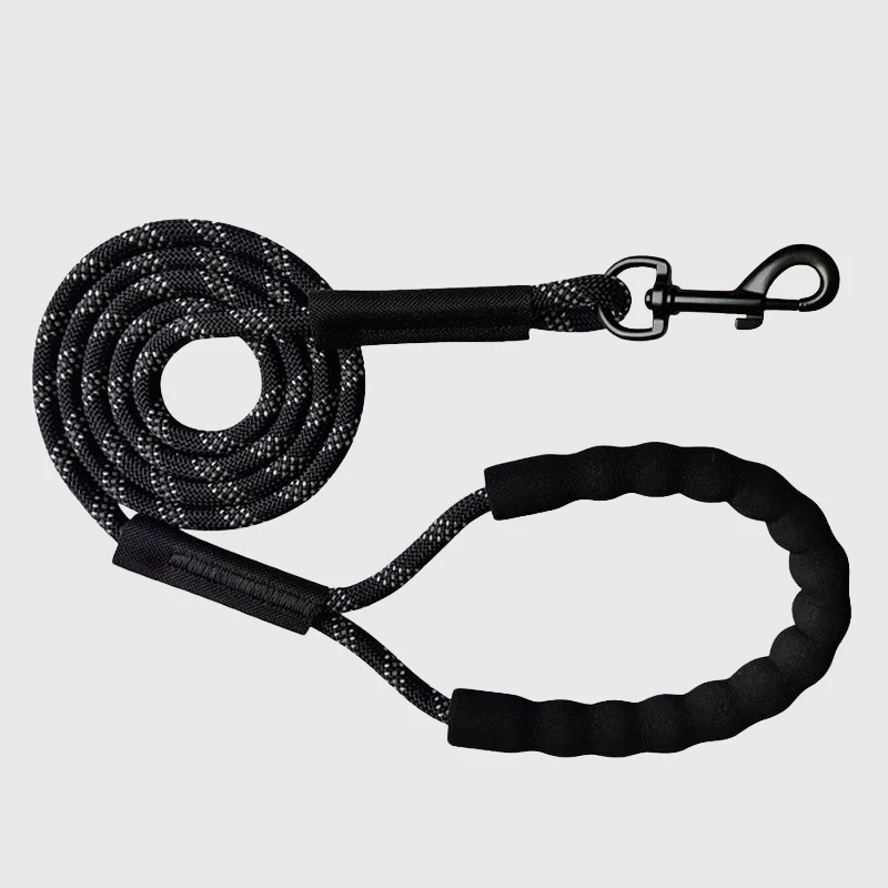 Longe Nylon Tressée Gros Chien Rappel