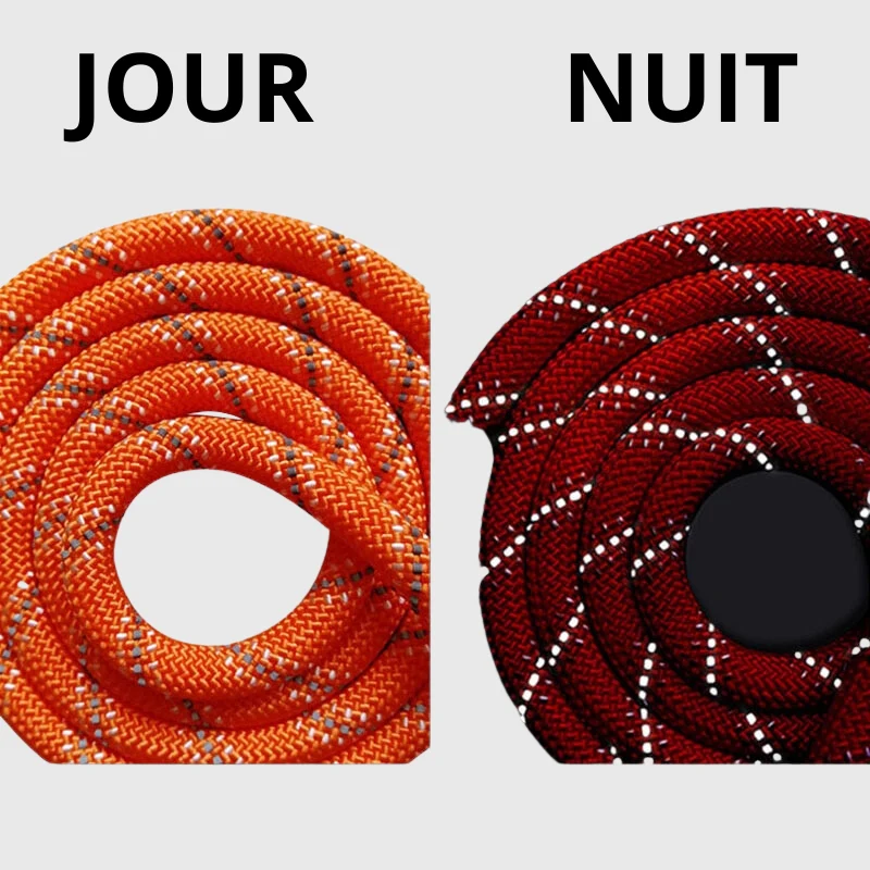 Longe Nylon Tressée Gros Chien Rappel
