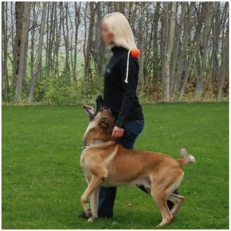 Balle Magnétique Entraînement Gros Chien Avec Corde