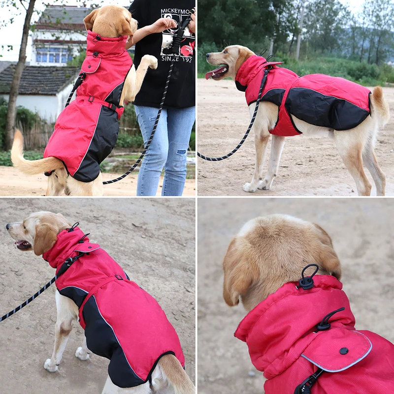 Manteau harnais imperméable réfléchissant pour chien