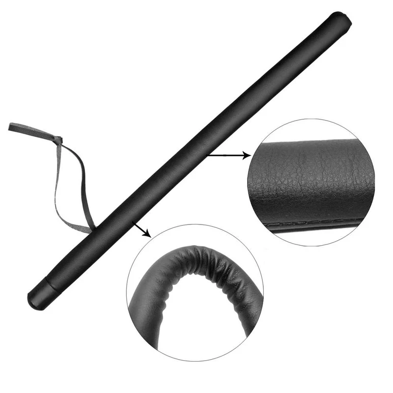 Baton de dressage pour chien
