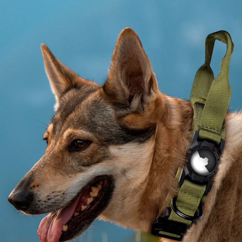 Collier airtag pour chien
