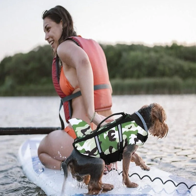 Gilet Nage Requin Flottabilité Gros Chien