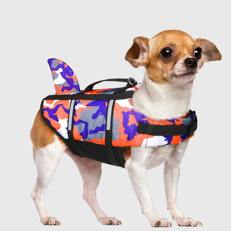 Gilet Nage Requin Flottabilité Gros Chien