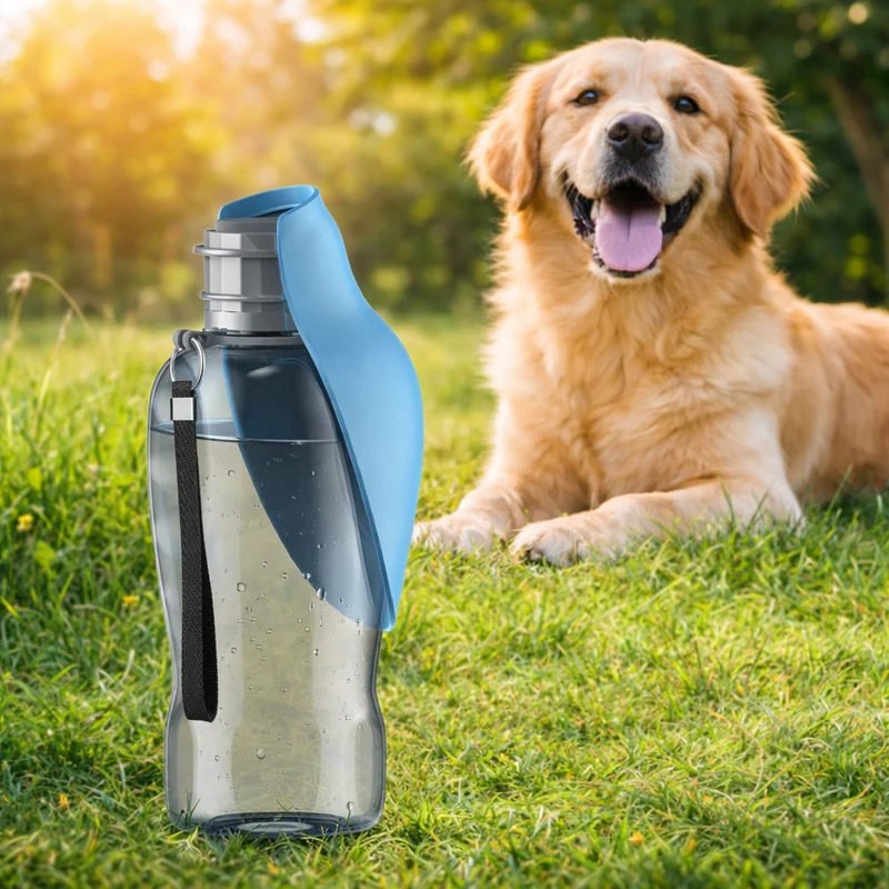 Gourde Promenade Chien Distributeur 800ml