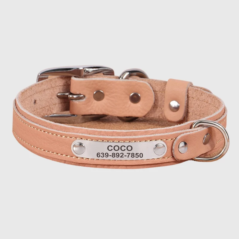 Collier Nylon Personnalisé Petit Chien Gravé