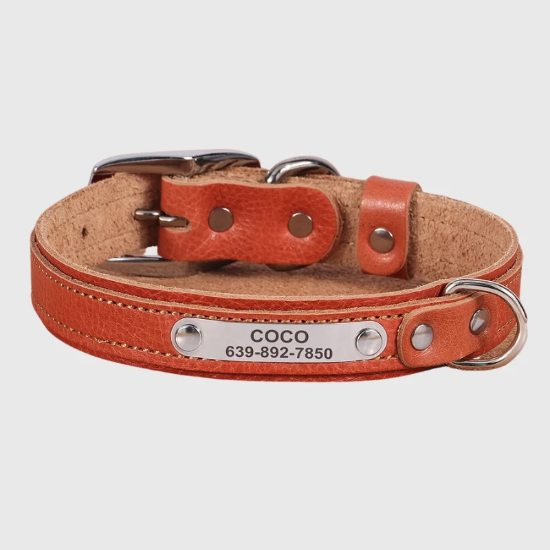 Collier Nylon Personnalisé Petit Chien Gravé