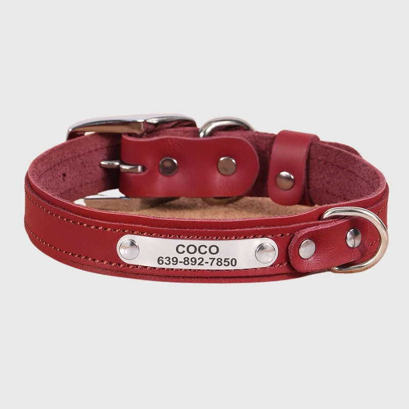 Collier Nylon Personnalisé Petit Chien Gravé