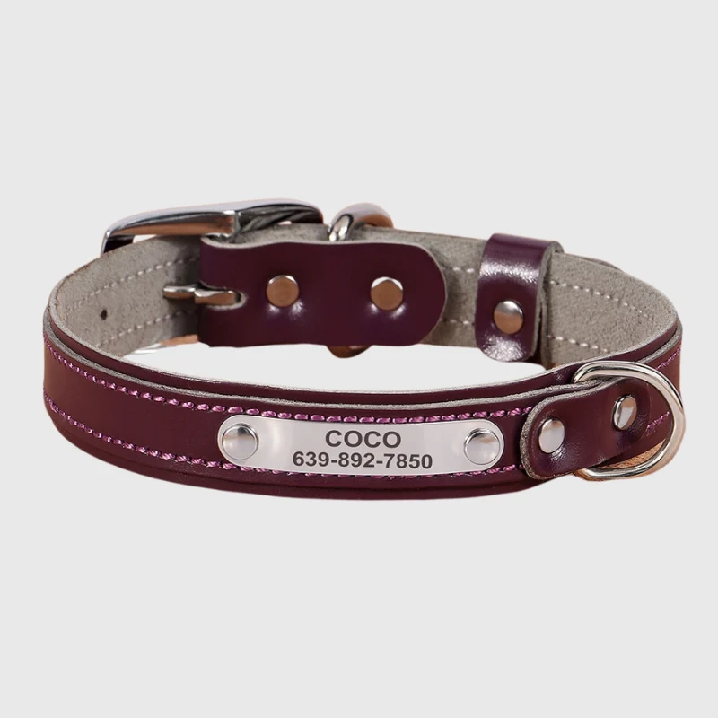 Collier Nylon Personnalisé Petit Chien Gravé