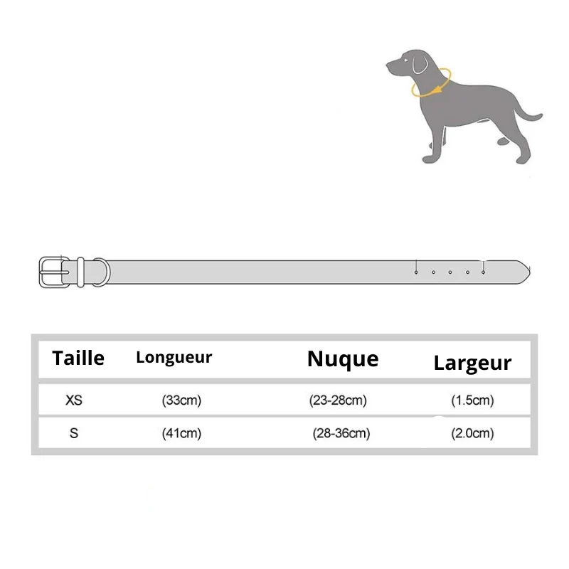 Collier Nylon Personnalisé Petit Chien Gravé