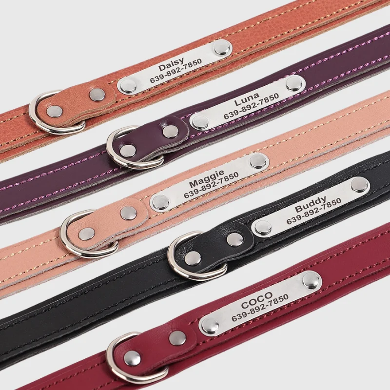 Collier Nylon Personnalisé Petit Chien Gravé