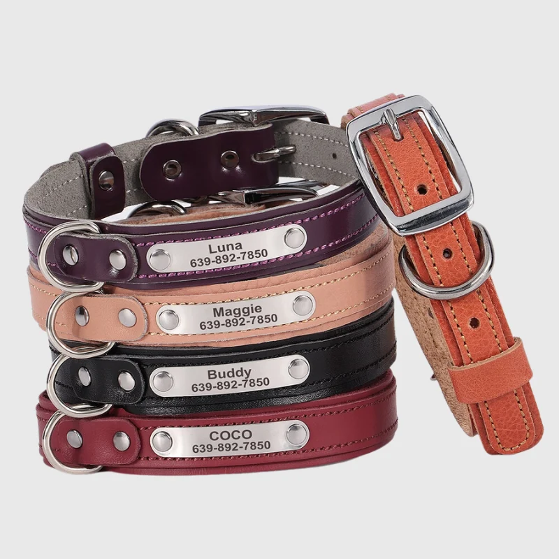 Collier Nylon Personnalisé Petit Chien Gravé