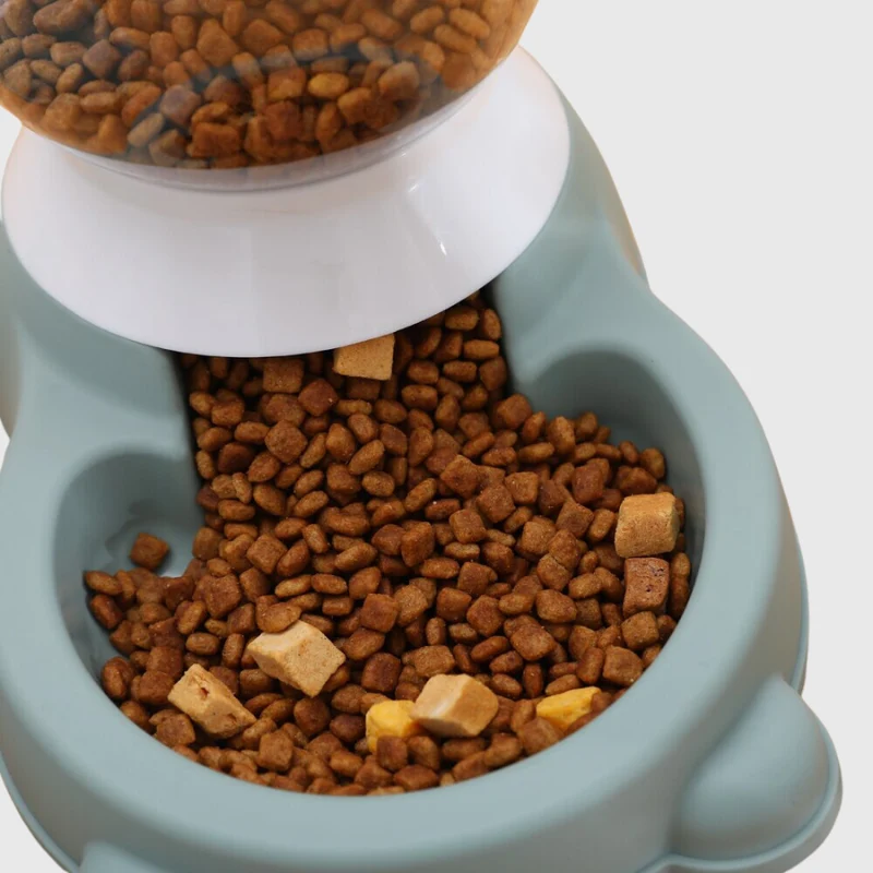 Distributeur Automatique Croquettes Eau Gros Chien