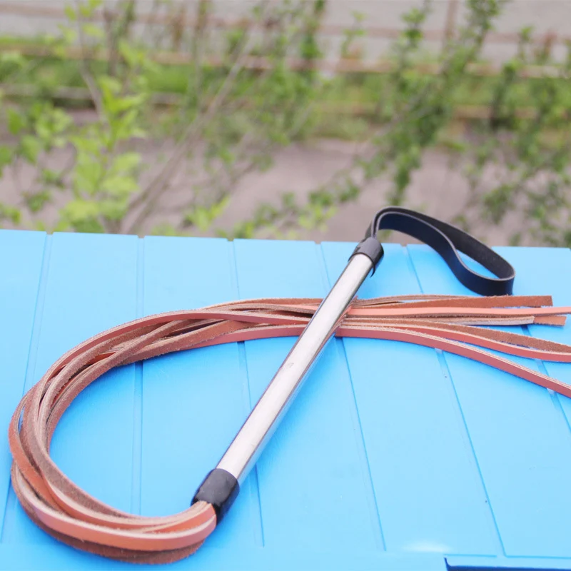 Fouet de dressage pour chien