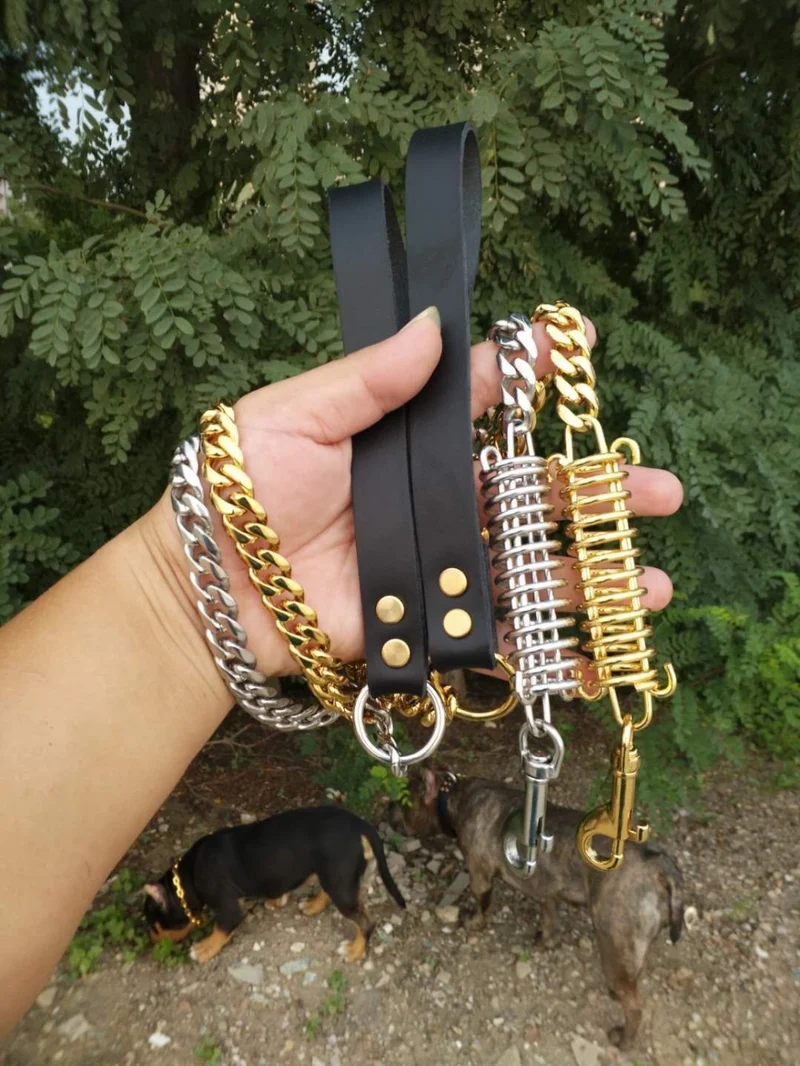 LAISSE AMORTISSEUR POUR GROS CHIEN