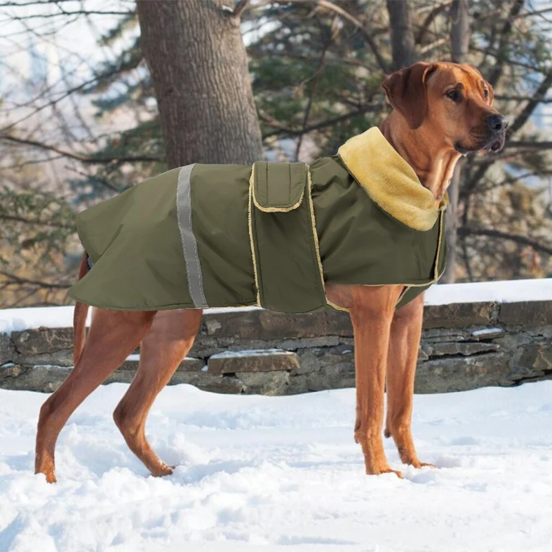 Manteau polaire chien