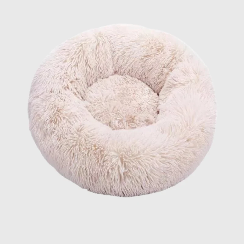 Coussin Orthopédique Mousse Mémoire Gros Chien