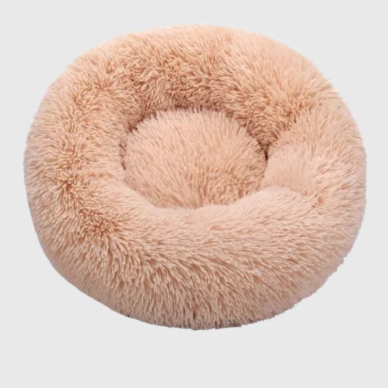Coussin Orthopédique Mousse Mémoire Gros Chien