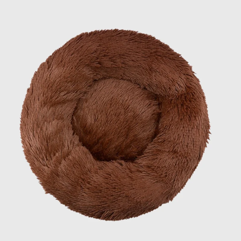 Coussin Orthopédique Mousse Mémoire Gros Chien